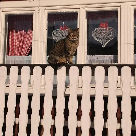 Chalupka V Zdiari ロッジ *